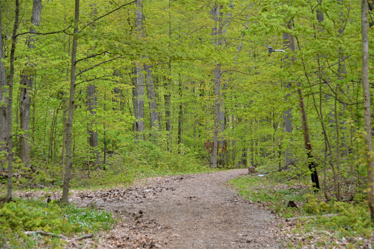 Zeeland Charter Township > Township Parks Locations, Hours, Directions